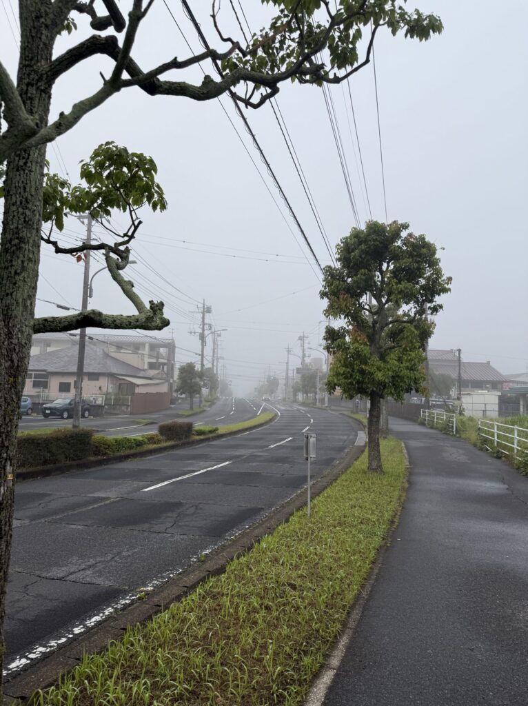 朝の道